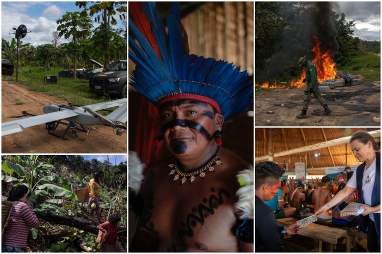 Dois anos de ações federais na Terra Yanomami garimpo ilegal despenca e mortes por desnutrição caem 68