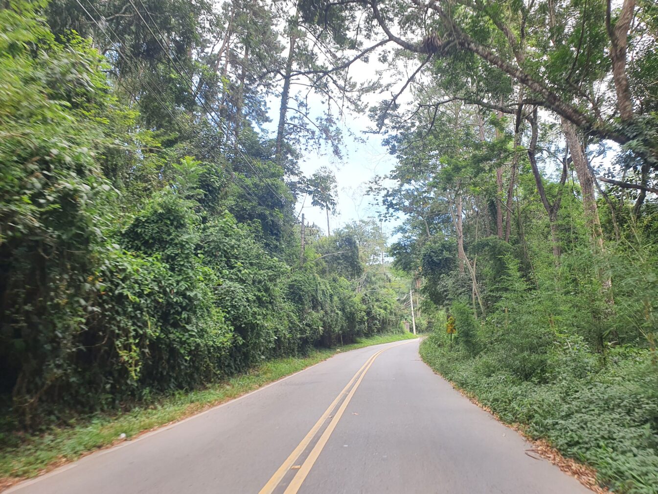 futura Rodovia