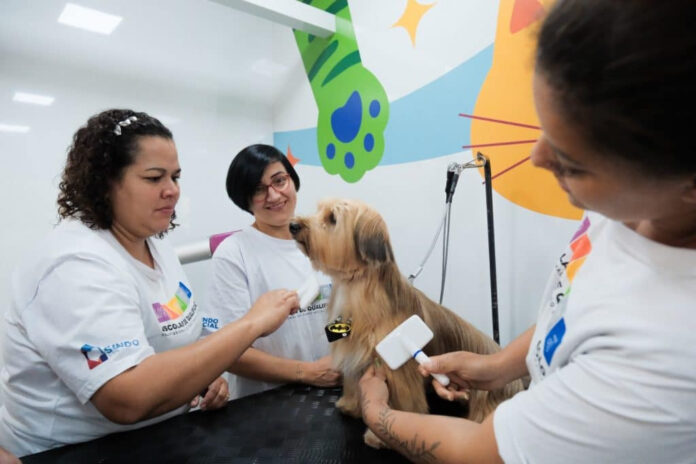 Caminho da Capacitação Leva Cursos Gratuitos à Zona Leste