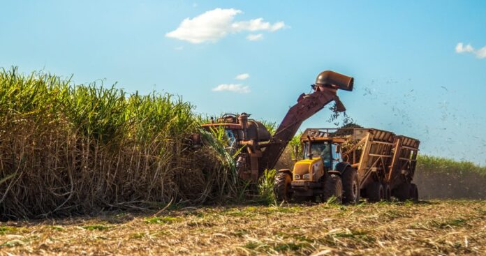 programa-etanol-mais-verde-1024x540-1 Superávit do Agro Paulista Supera US$ 8 Bilhões nos Primeiros Cinco Meses