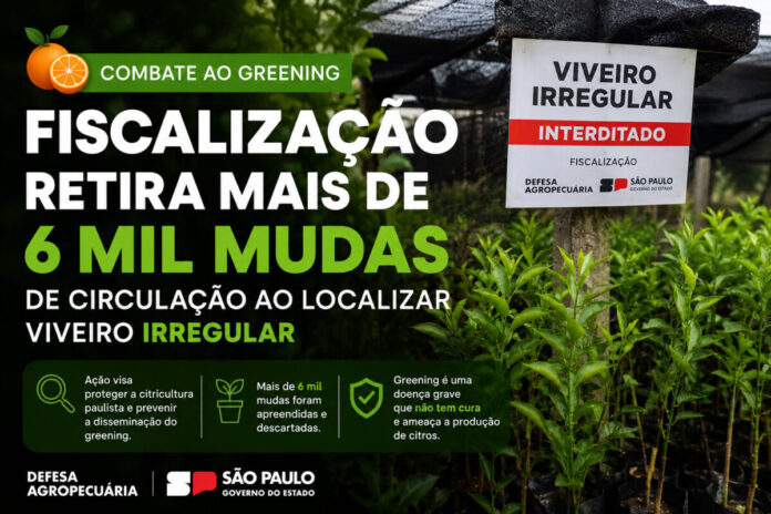 Combate ao greening São Paulo