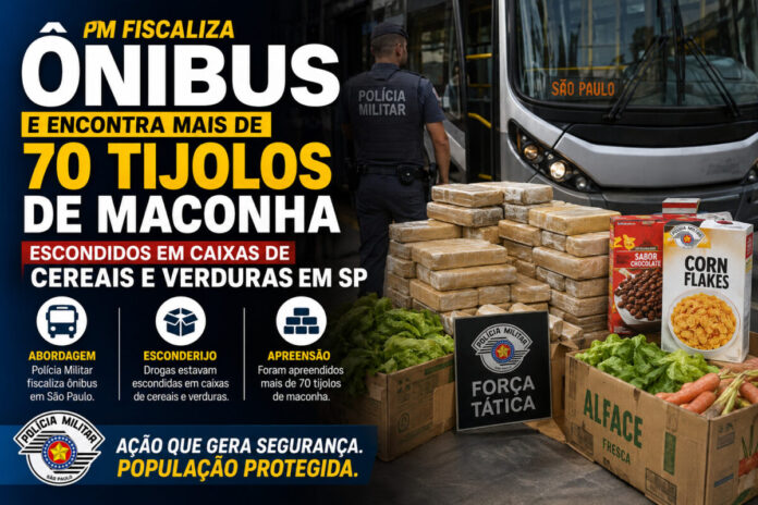 PM apreende tijolos de maconha ônibus SP PM apreende tijolos de maconha ônibus SP