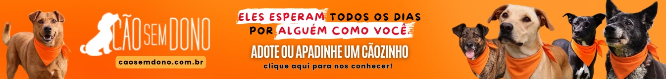 Cão sem Dono
