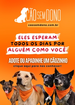 Cão sem Dono 2